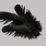 More information about "HEART - Hagraven Feathers - black version"