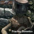 More information about "Practice Dummies"