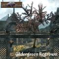 More information about "Gildergreen Regrown"