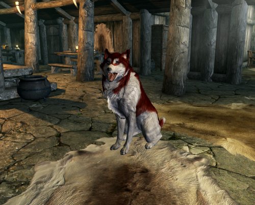 Keno an Animal Companion - Companions & NPCs - AFK Mods Keno an Animal Companion - Companions & NPCs - AFK Mods