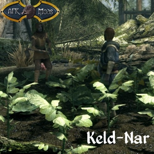 More information about "Keld-Nar"
