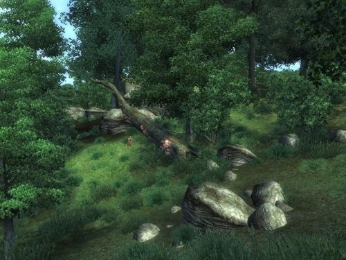 More information about "Unique Landscapes: The Great Forest - Lush Woodlands"