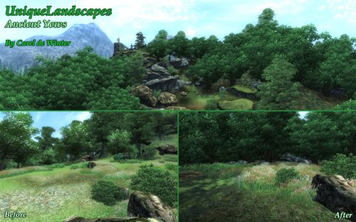 More information about "Unique Landscapes: Ancient Yews"