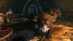 More information about "Skooma Bear - Definitive Edition"