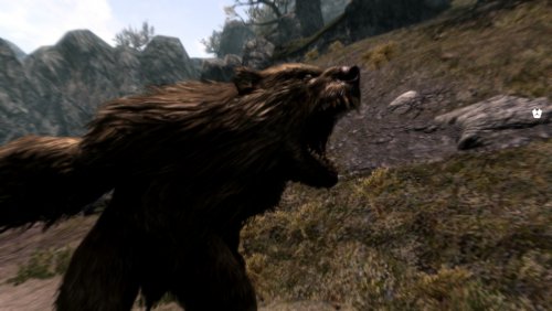 More information about "More Bear-Like Werebears"