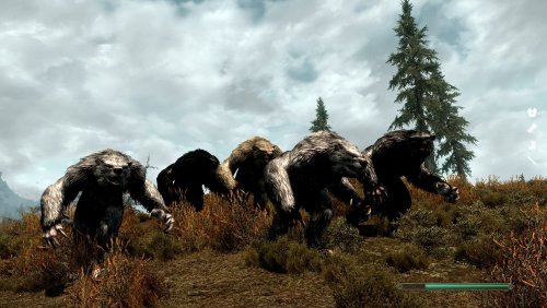 More information about "Automatic Variants - Werebear Fix"