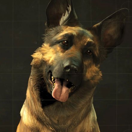 More information about "Dogmeat in Springvale (Man's Best Friend)"