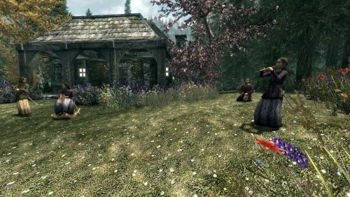 Skyrim mod provides the perfect cosy lakeside player home for nature-loving  mages