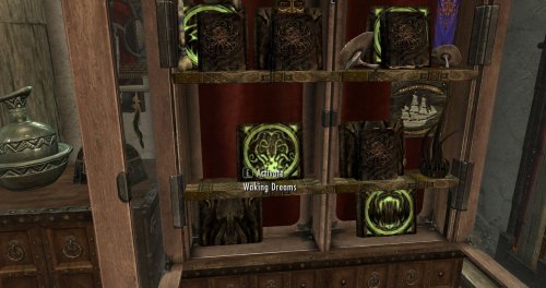 Breezehome Optimization Package - Display Addon at Skyrim Special