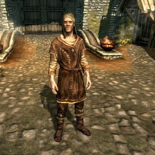 More information about "Couriers only in settlements"