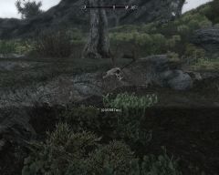Floating deer skull