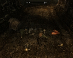 Persistency effect in the Ragged Flagon