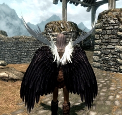 wings for joedpa-back