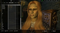 Amazing how much better the elves look with face normal maps that don't have neanderthal brows