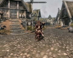 Imperial Soldiers in Whiterun
