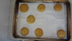 Peanut Butter Cookie A