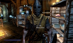 Whiterun Guard in Breezehome!?