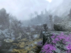 Forgotten Vale 1