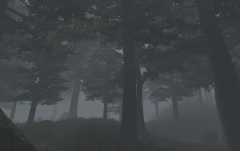 Forest Fog.jpg