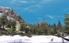 Mountain Summer Day.jpg