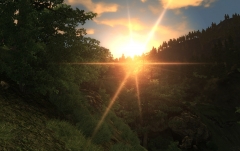 Canulus Sunrise
