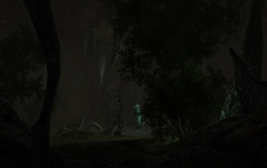 Grove of Reflection.jpg