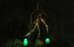 Osseus Marrow.jpg