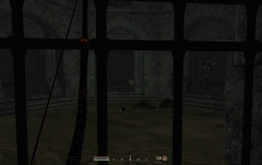 BeastTorture