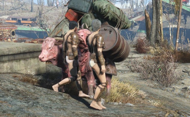 FO4Screenshot20.jpg