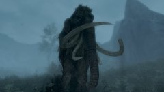 Mammoth in the mist