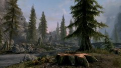 Skyrim 2021-07-11 11-49-29