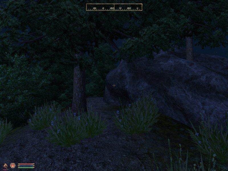 2012798615_SETrailTrees.thumb.jpg.c8b5947cf0a920d367429f77375bc83f.jpg