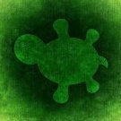 oddlittleturtle