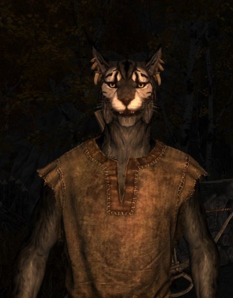 khajiit_mouth.jpg