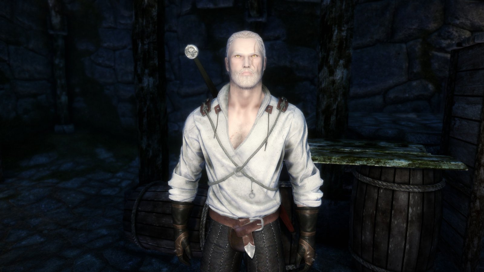 My attempt at a decent Geralt of Rivia.