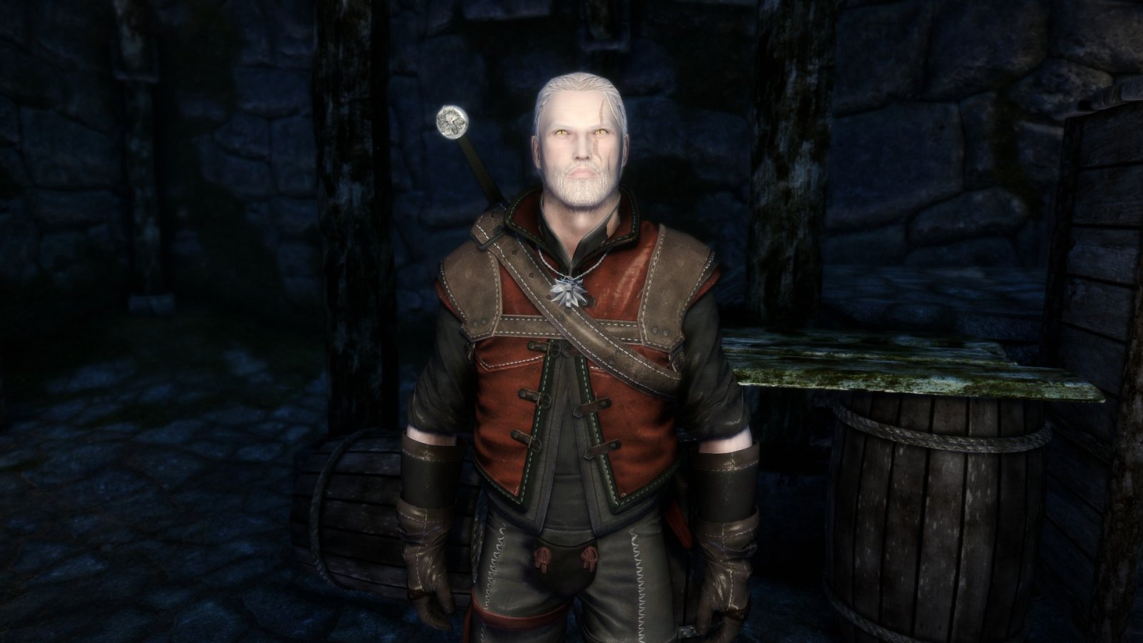 The Witcher