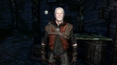 Geralt in TW3 Wolven armor.