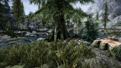 Riverwood