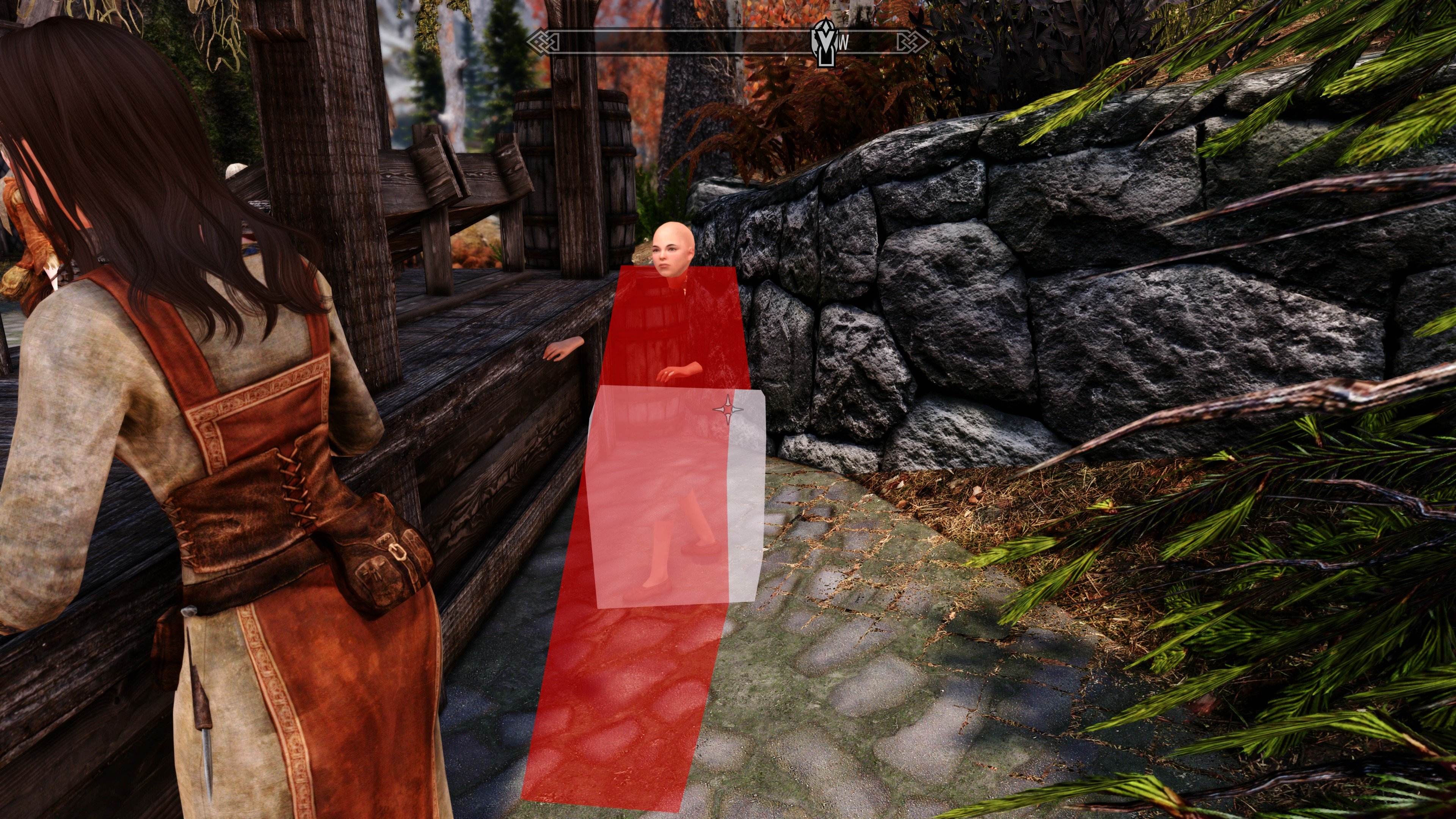 Too many DAR animations can lead to CTD - read this to know how to avoid it at Skyrim Special Edition Nexus - Mods and Community