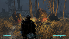 Fallout 4 Screenshot 2023.02.25 - 16.54.50.50.png
