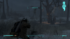 Fallout 4 Screenshot 2023.02.25 - 16.57.27.18.png