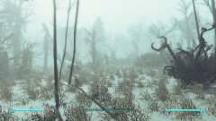 Fallout 4 Screenshot 2023.03.03 - 18.09.27.100.png