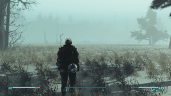 Fallout 4 Screenshot 2023.03.03 - 18.19.21.23.png