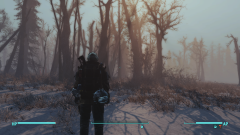 Fallout 4 Screenshot 2023.03.03 - 22.14.53.47.png