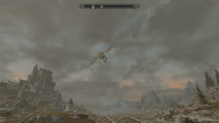 Riding a Dragon