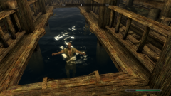 Swimming in the Fishery