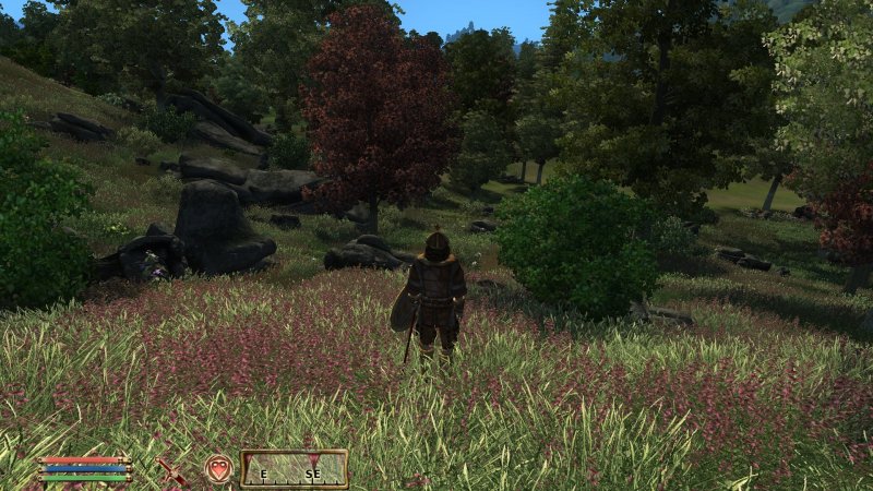ScreenShot5.jpg