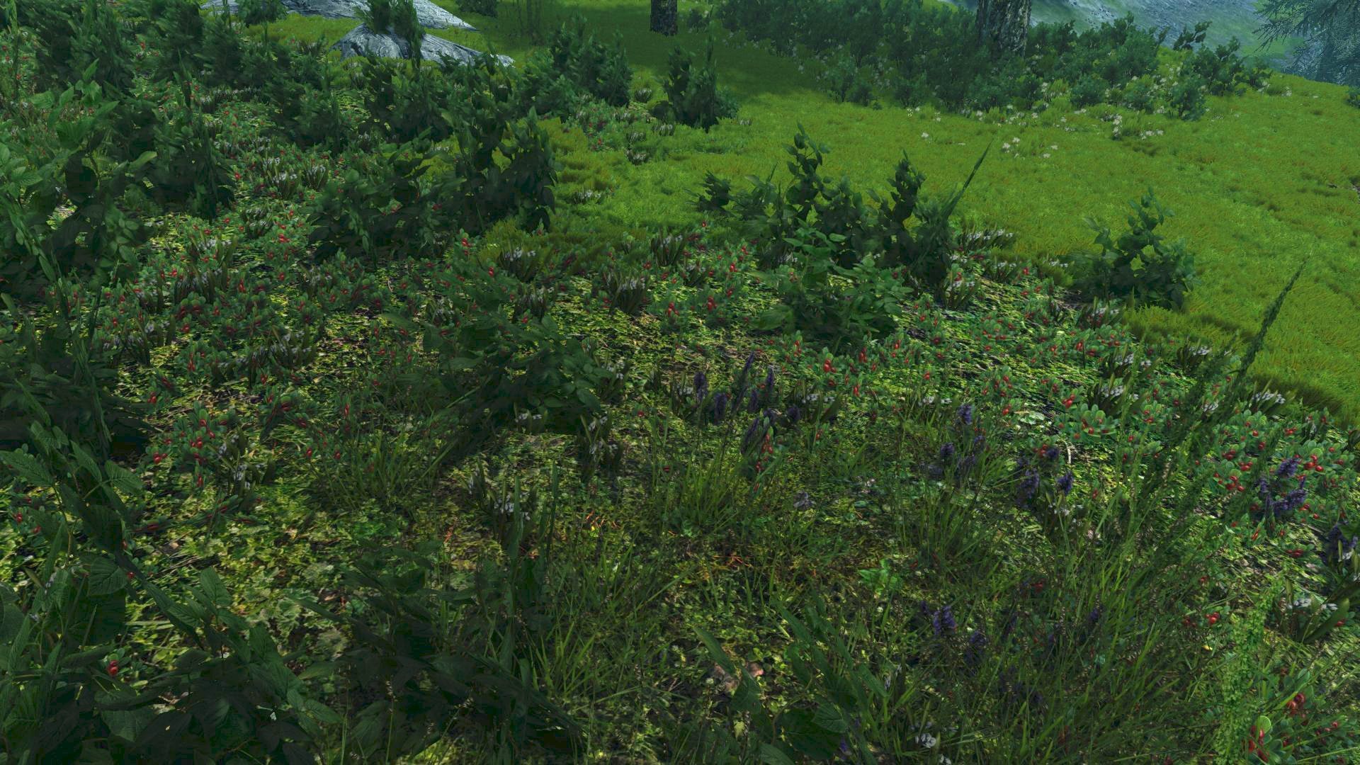 Tasheni grassificates the Tundra