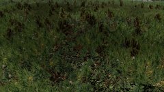 ScreenShot2491