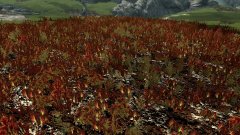 ScreenShot2527